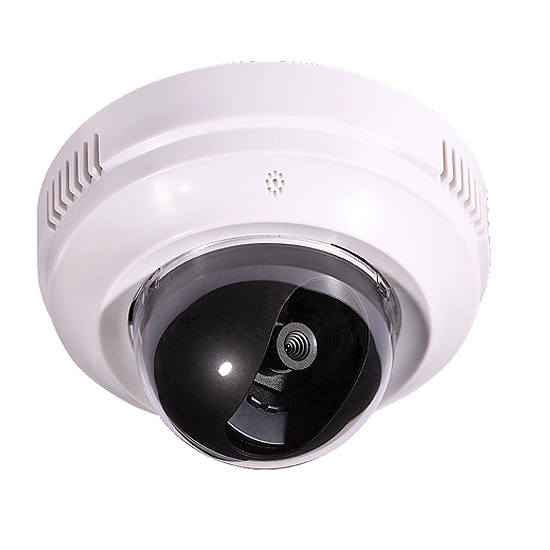 Caméra Dome avec capteur pour basse luminosité GXV3611_HD